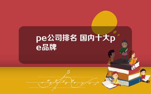 pe公司排名 国内十大pe品牌