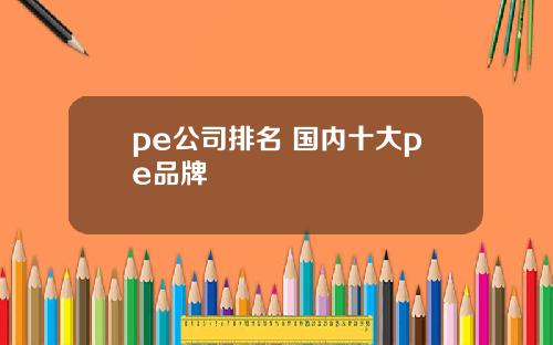 pe公司排名 国内十大pe品牌