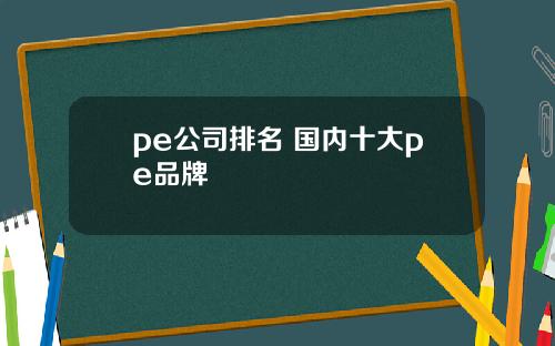 pe公司排名 国内十大pe品牌