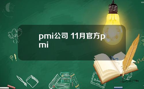 pmi公司 11月官方pmi