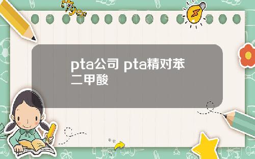 pta公司 pta精对苯二甲酸
