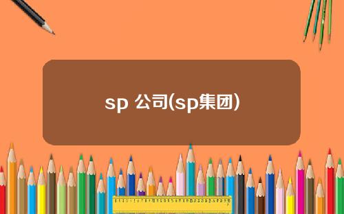 sp 公司(sp集团)