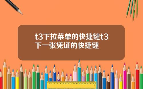 t3下拉菜单的快捷键t3下一张凭证的快捷键