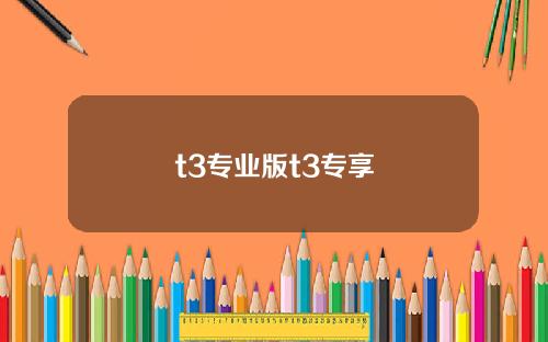 t3专业版t3专享