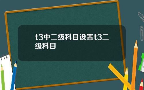 t3中二级科目设置t3二级科目