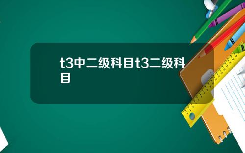 t3中二级科目t3二级科目