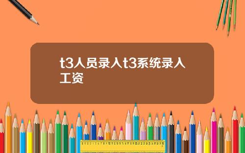 t3人员录入t3系统录入工资