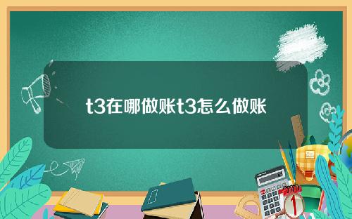 t3在哪做账t3怎么做账