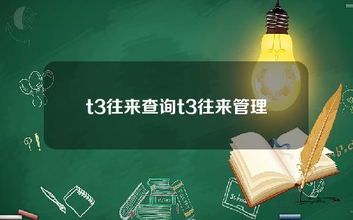 t3往来查询t3往来管理