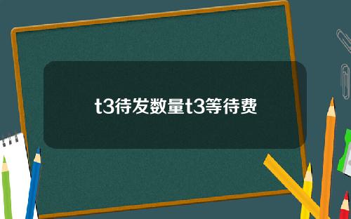 t3待发数量t3等待费