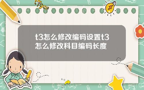 t3怎么修改编码设置t3怎么修改科目编码长度