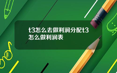 t3怎么去做利润分配t3怎么做利润表
