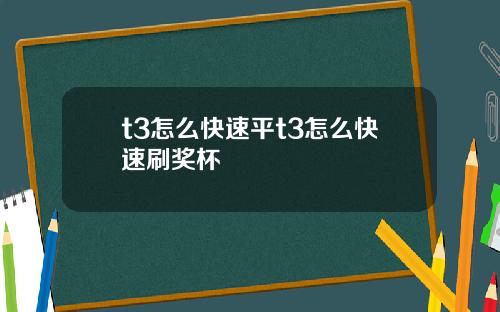 t3怎么快速平t3怎么快速刷奖杯