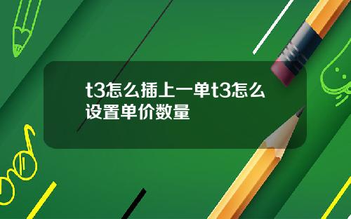 t3怎么插上一单t3怎么设置单价数量