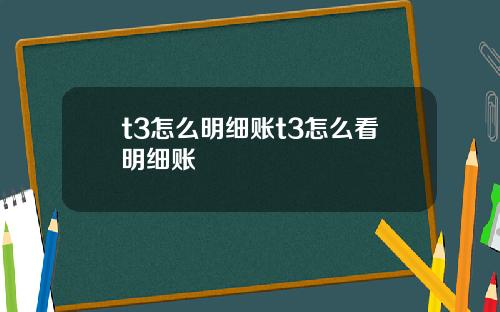 t3怎么明细账t3怎么看明细账
