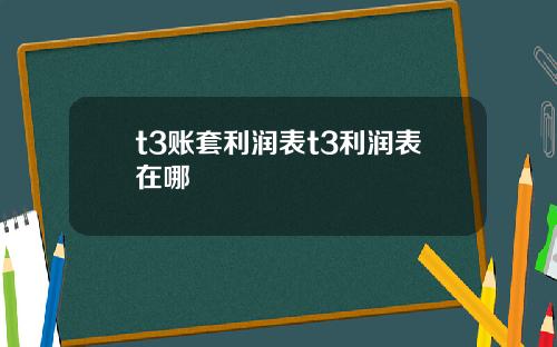 t3账套利润表t3利润表在哪