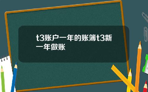 t3账户一年的账簿t3新一年做账