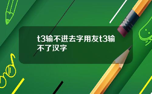 t3输不进去字用友t3输不了汉字