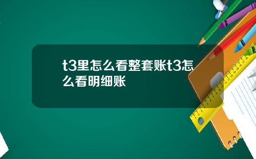 t3里怎么看整套账t3怎么看明细账