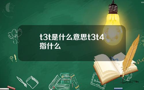 t3t是什么意思t3t4指什么