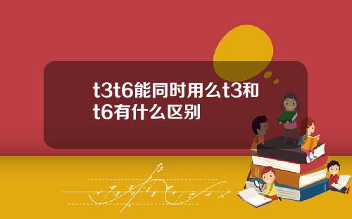 t3t6能同时用么t3和t6有什么区别