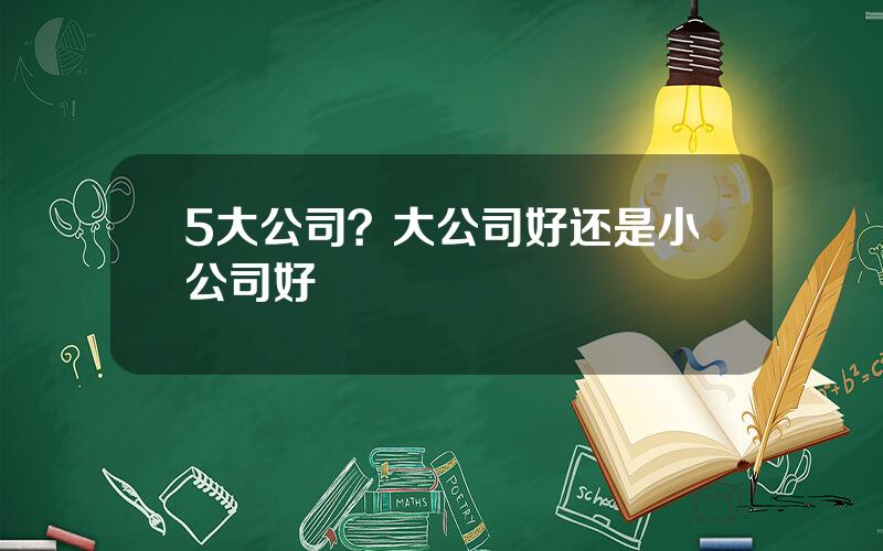 5大公司？大公司好还是小公司好