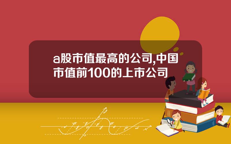 a股市值最高的公司,中国市值前100的上市公司