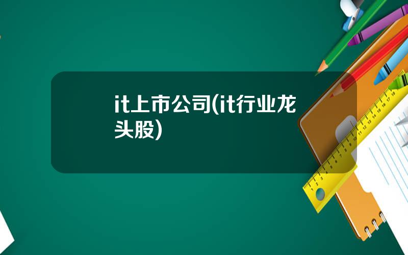 it上市公司(it行业龙头股)
