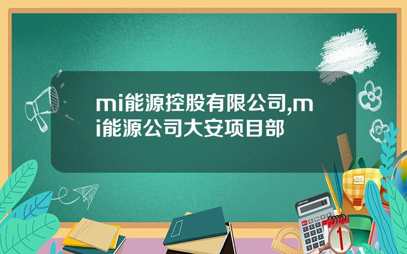 mi能源控股有限公司,mi能源公司大安项目部