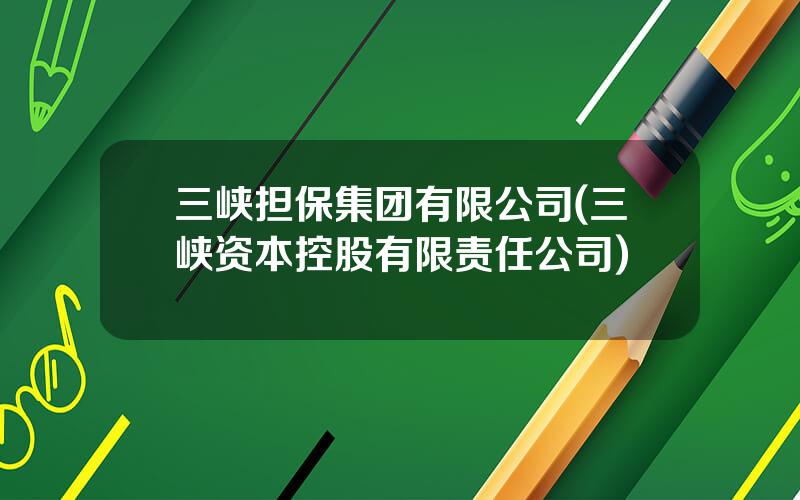 三峡担保集团有限公司(三峡资本控股有限责任公司)