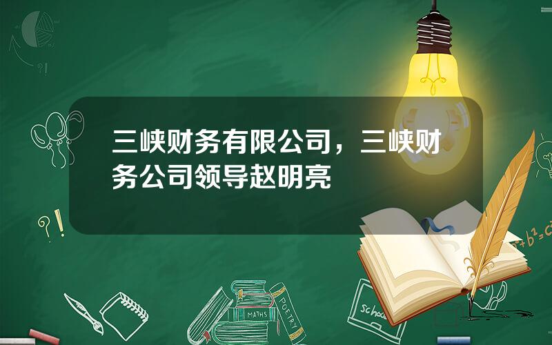 三峡财务有限公司，三峡财务公司领导赵明亮