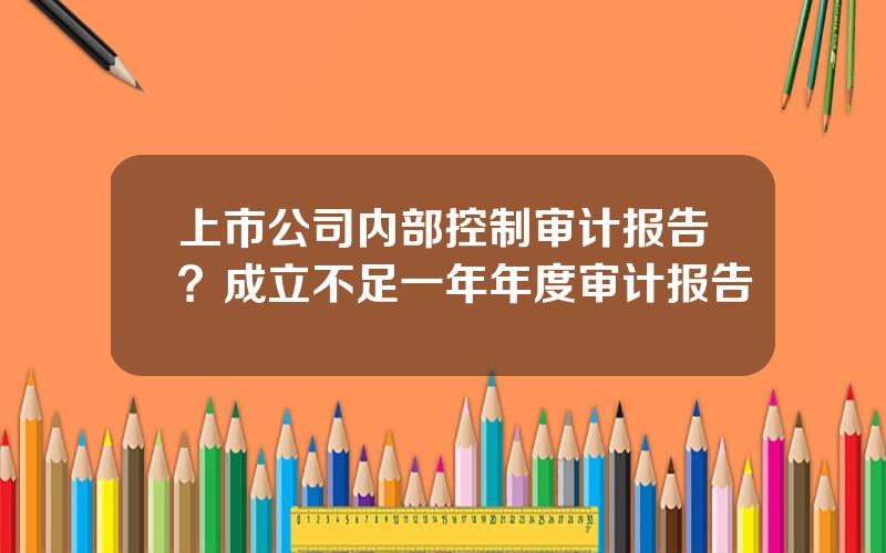 上市公司内部控制审计报告？成立不足一年年度审计报告