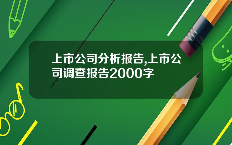 上市公司分析报告,上市公司调查报告2000字