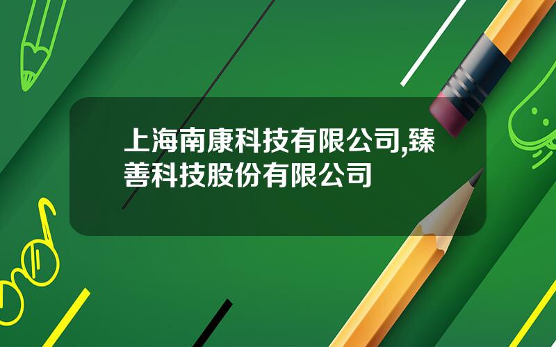上海南康科技有限公司,臻善科技股份有限公司