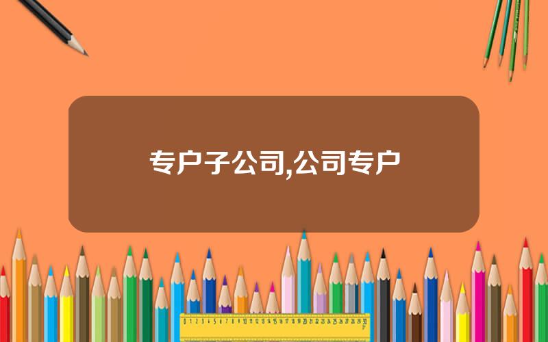专户子公司,公司专户