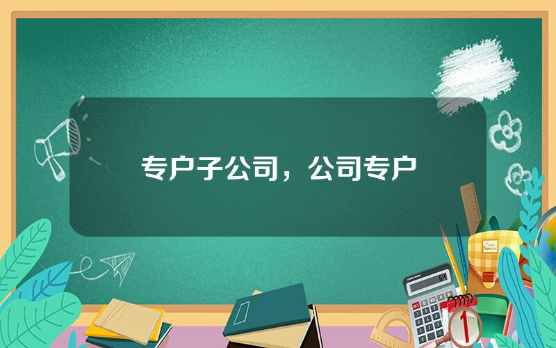 专户子公司，公司专户