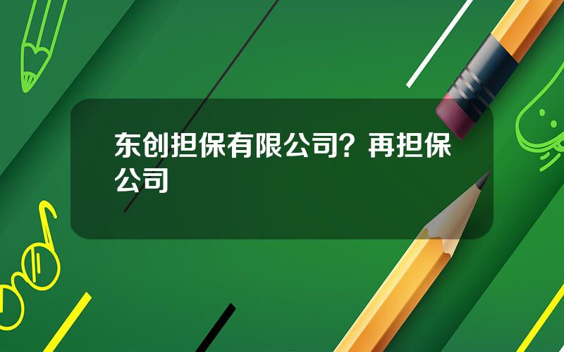 东创担保有限公司？再担保公司