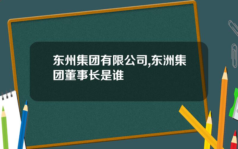 东州集团有限公司,东洲集团董事长是谁