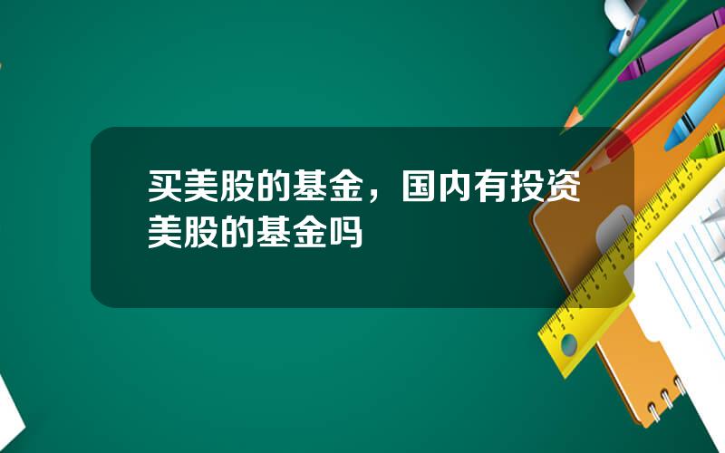 买美股的基金，国内有投资美股的基金吗