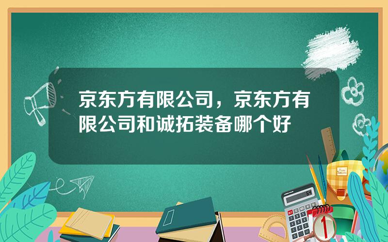 京东方有限公司，京东方有限公司和诚拓装备哪个好