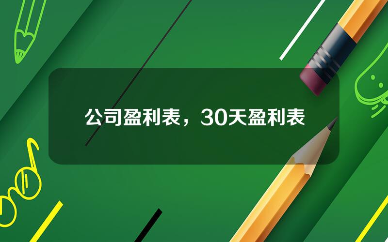 公司盈利表，30天盈利表