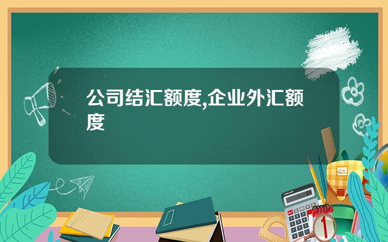 公司结汇额度,企业外汇额度