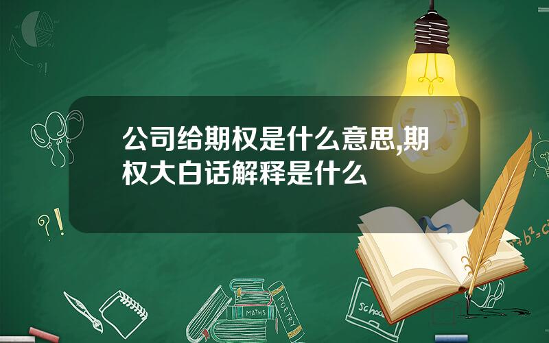 公司给期权是什么意思,期权大白话解释是什么