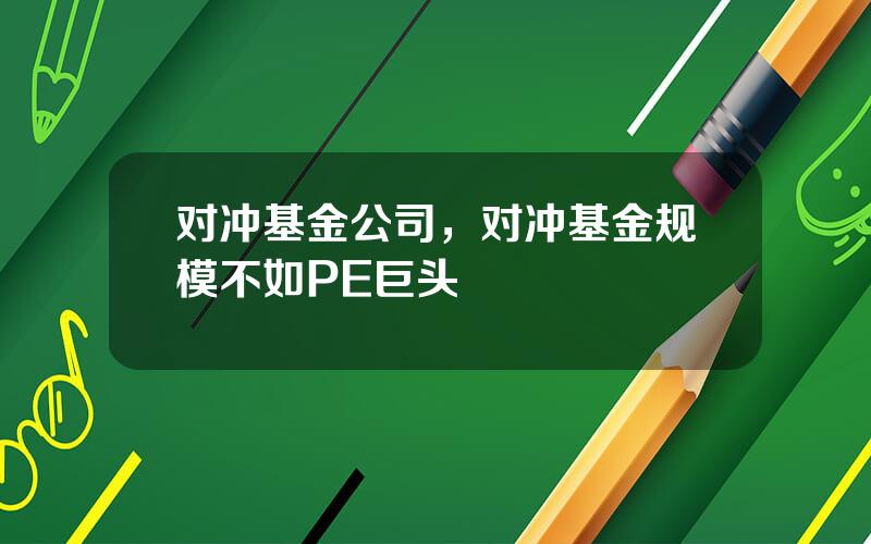 对冲基金公司，对冲基金规模不如PE巨头