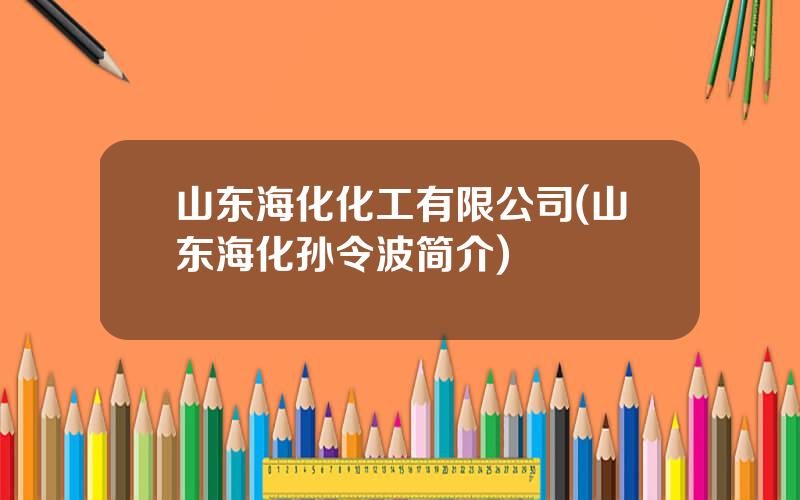 山东海化化工有限公司(山东海化孙令波简介)