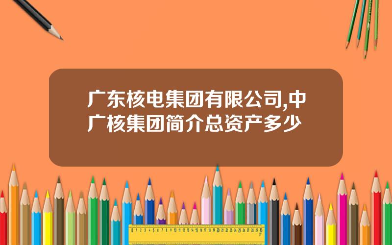广东核电集团有限公司,中广核集团简介总资产多少