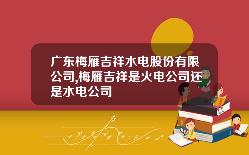 广东梅雁吉祥水电股份有限公司,梅雁吉祥是火电公司还是水电公司