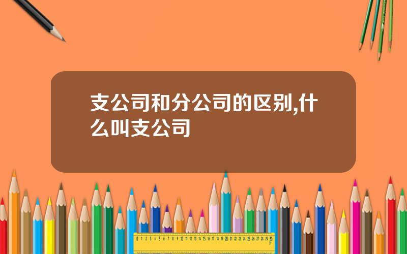 支公司和分公司的区别,什么叫支公司